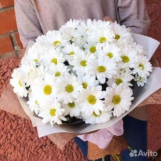 Хризантема Букеты доставка цветов