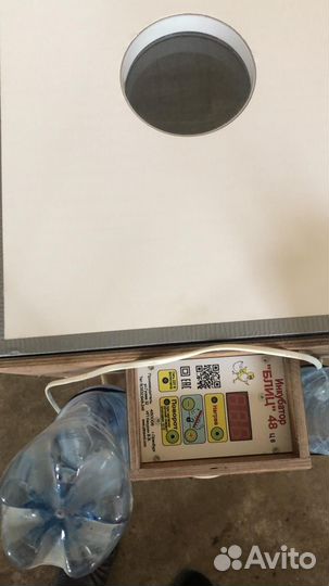 Инкубатор для яиц автоматический бу