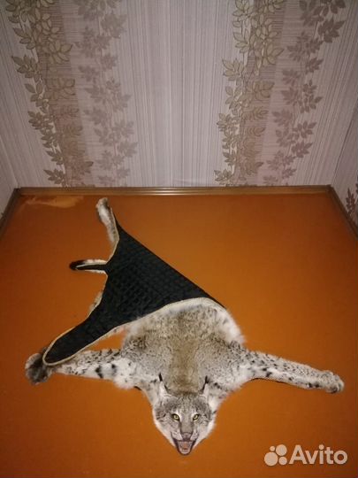 Шкура рыси (имитация)