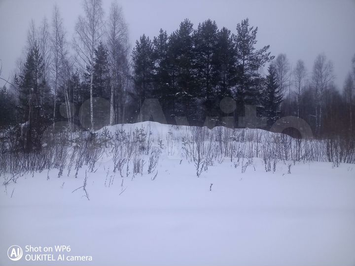 Участок 24 сот. (СНТ, ДНП)