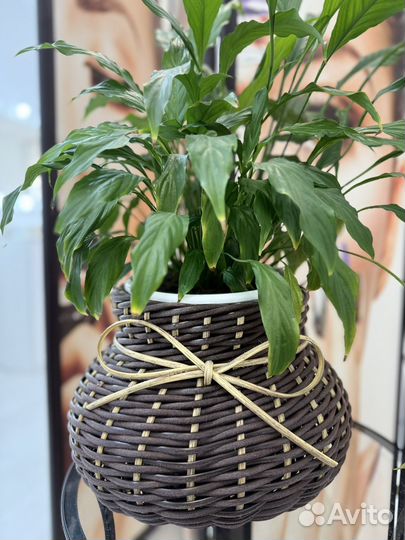 Кашпо из ротанга