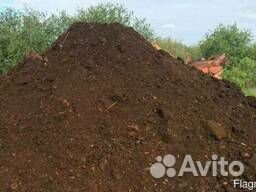 Коровий перегной