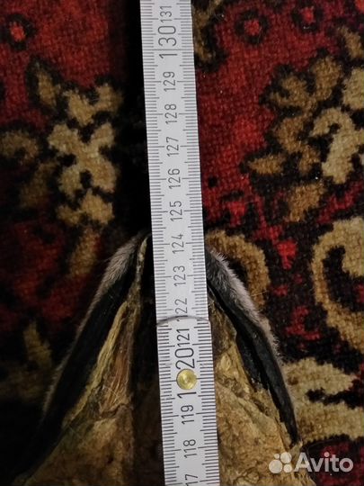 Шкуры волков