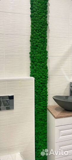 Стабилизированный мох панно