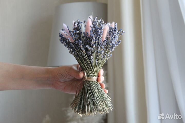 Лаванда сухоцвет