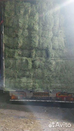 Сено и Опилки в тюках