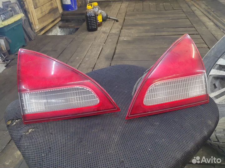 Задние стопы