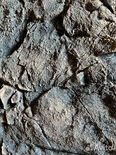 3d фон для аквариума