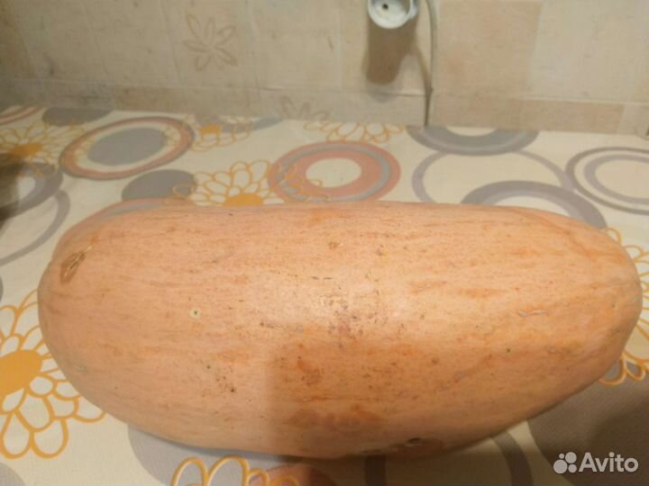 Семена тыквы сорт 