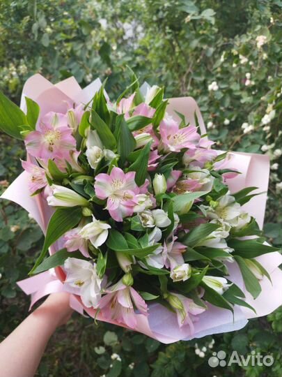 Букет в школу. Альстромерии