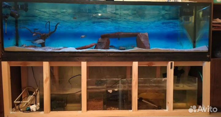 Аквариум морской / пресноводный 370л + самп