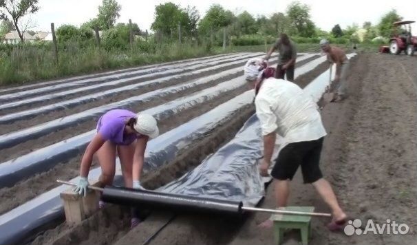 Пленка с перфорацией