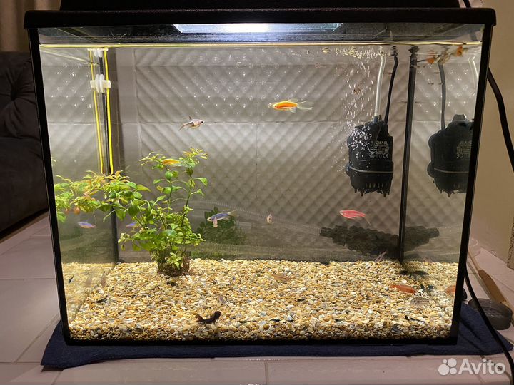 Аквариум с фильтром