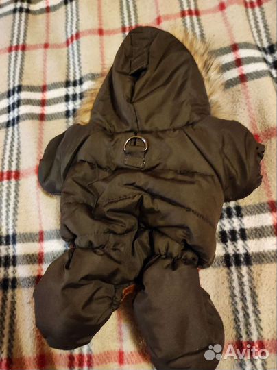 Одежда для маленьких собак xs