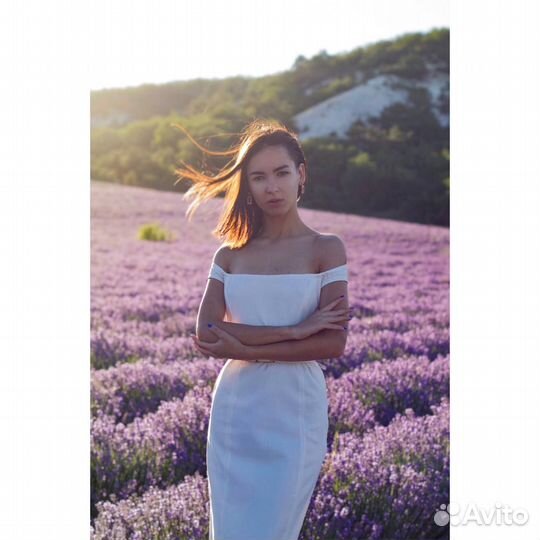 Администратор