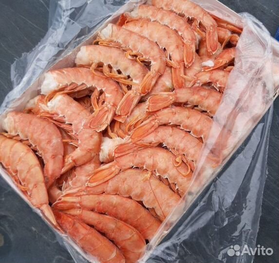 Лангустины без головы С1