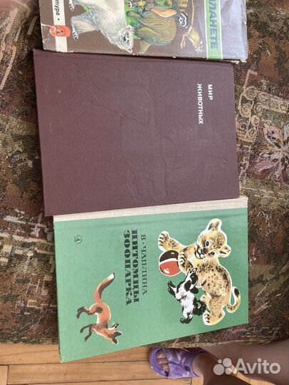 Детские книги бесплатно