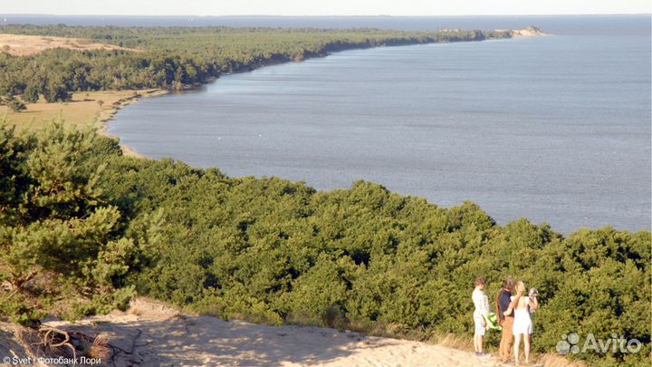 Куршская коса с посещением орнитологической станци
