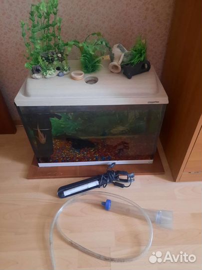 Морской аквариум с рыбками