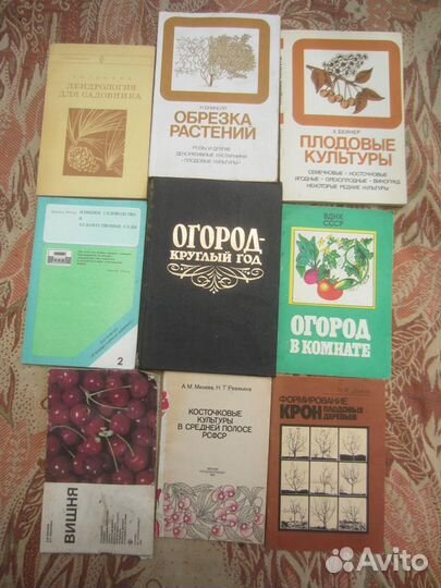 А.И. Коровин. О.Н. Коровина. Погода, огород и сад