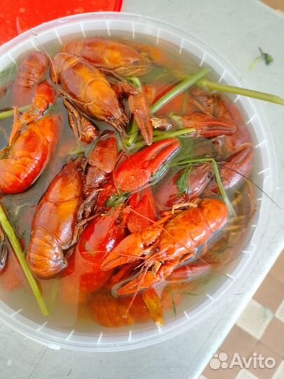 Раки