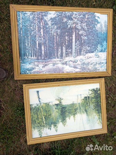 Картина СССР