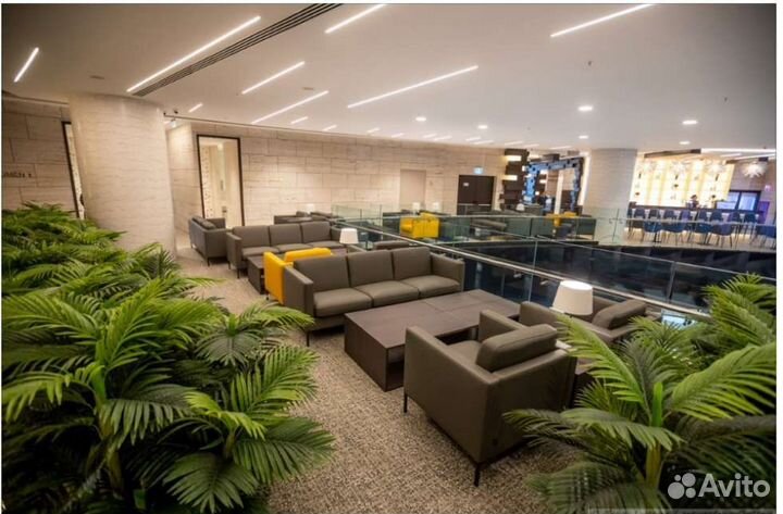 Проход в бизнес зал аэропортов России и мира