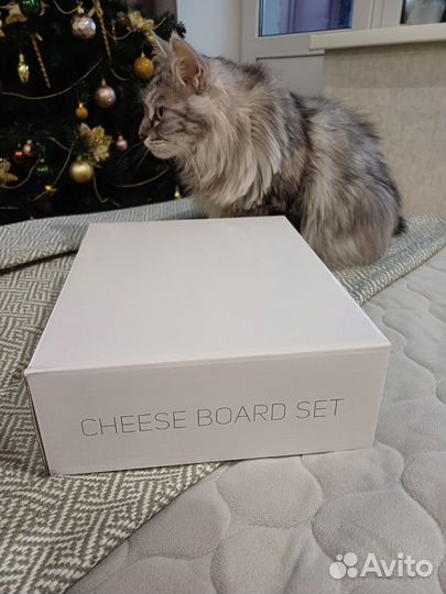 Набор для подачи сыра подарочный