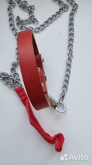 Ошейник с поводком, для собак мелкой породы