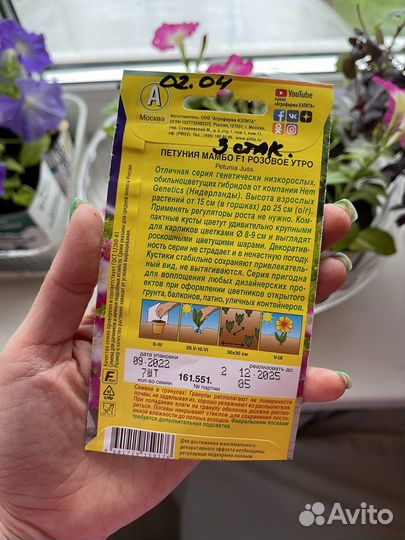 Петуния розовое утро