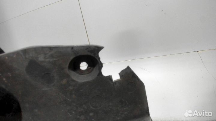 Защита моторного отсека Renault Clio, 2007