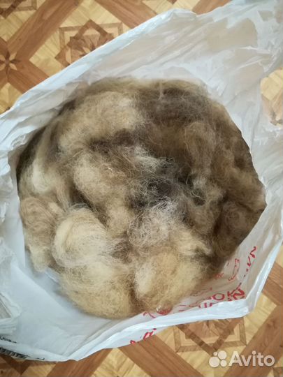 Собачья шерсть