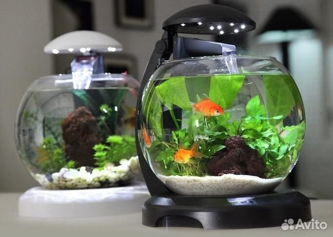 Фирменный аквариум Tetra. Рыбки. Растения. Фильтр