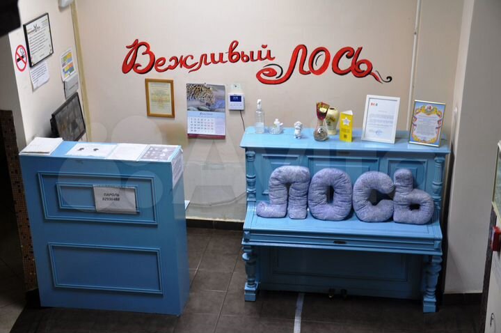 Комната 12 м², 1/2 эт.