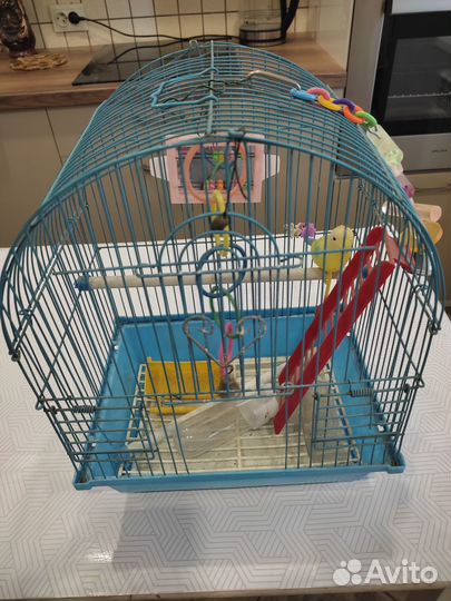 Клетка для волнистого попугая