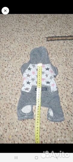 Одежда для маленьких собак