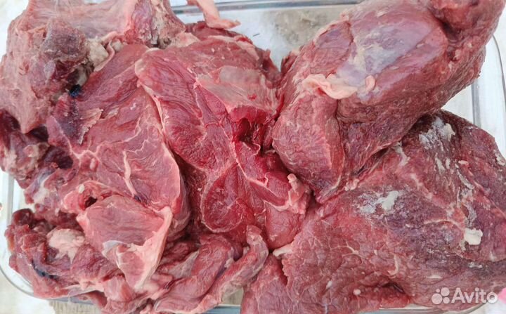 Мясо для собак говядина и свинина