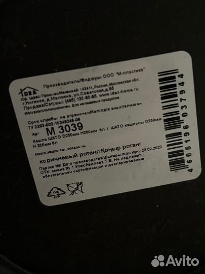 Спатифиллум женское счастье цветы