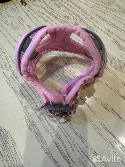 Шлейка и носки для собак мелких пород