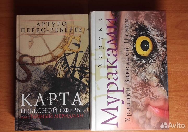 Книги. Мураками, Рубина, Пратчетт, Хмелевская