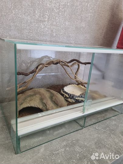 Террариум для змеи
