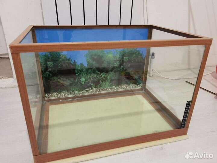 Аквариум