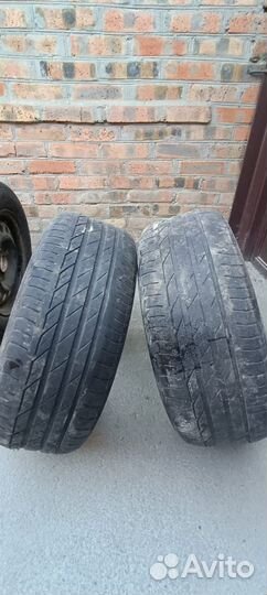 Bridgestone Blizzak DM-V1 215/55 R16