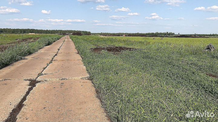 Торф от производителя