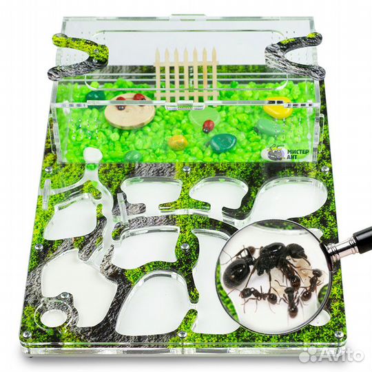 Муравьиная ферма