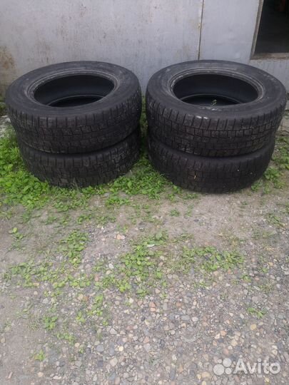 Dunlop Winter Maxx 195/65 R15