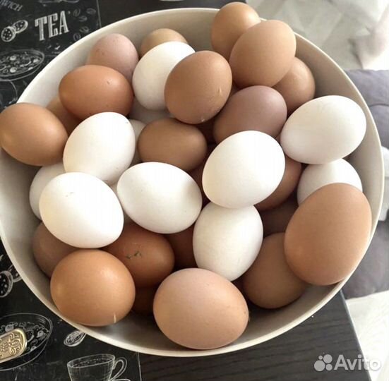Домашние куриные яйца