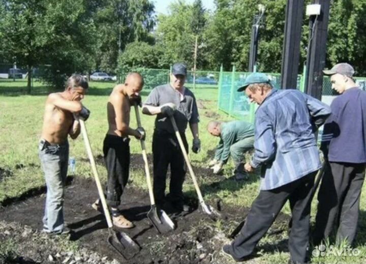 Разнорабочие Подсобники Услуги