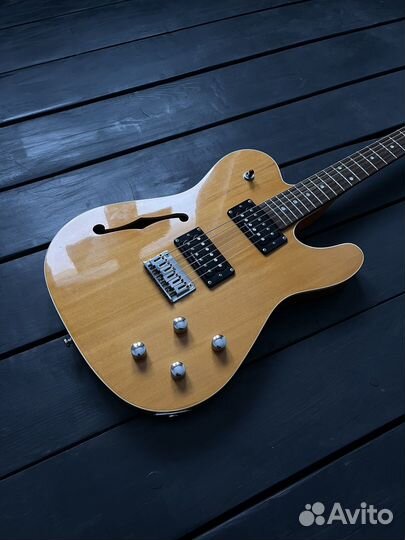 Fender Squier Telecaster Thinline Master Series