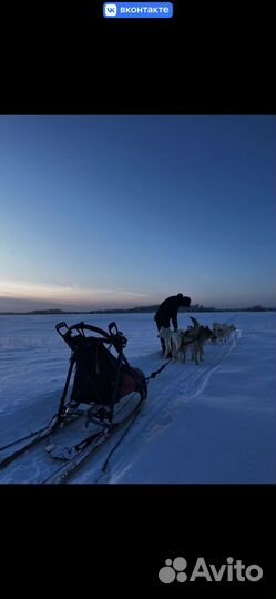 Нарта Шаман Спринт